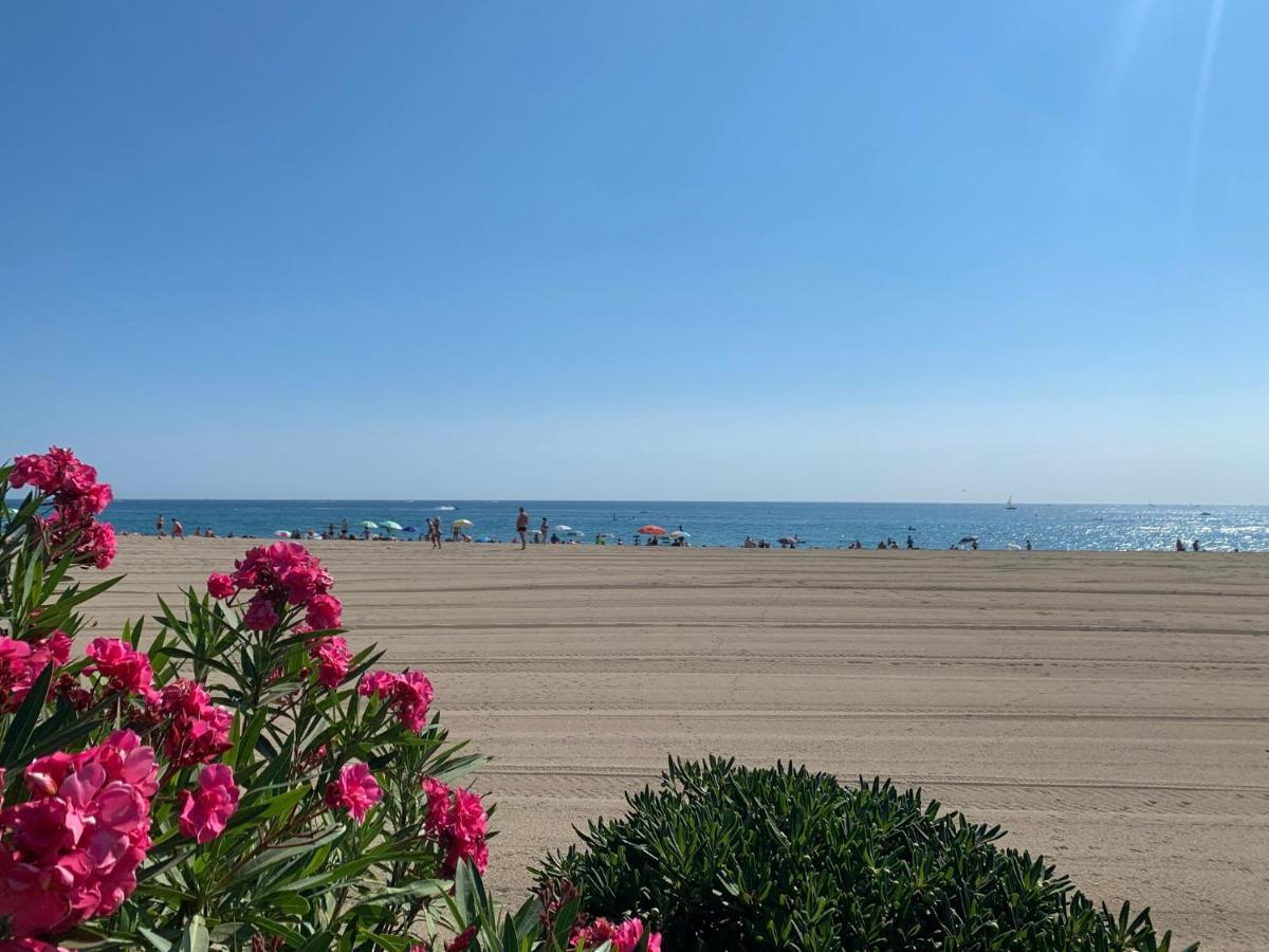 Superbe Appartement Neuf Entre Mer Et Pins Wifi 滨海阿热莱斯 外观 照片